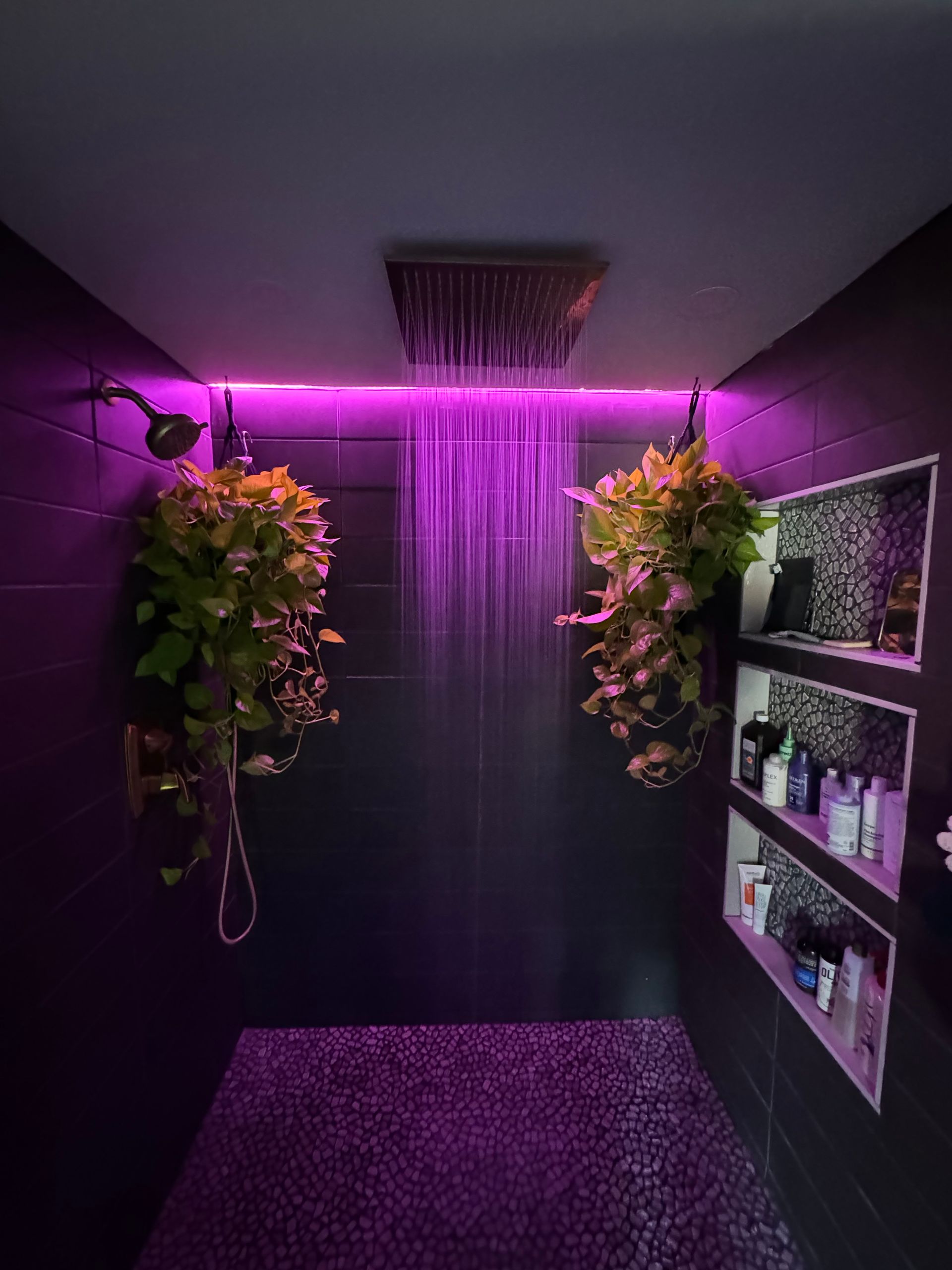 A shower with purple lights and plants hanging from the ceiling.