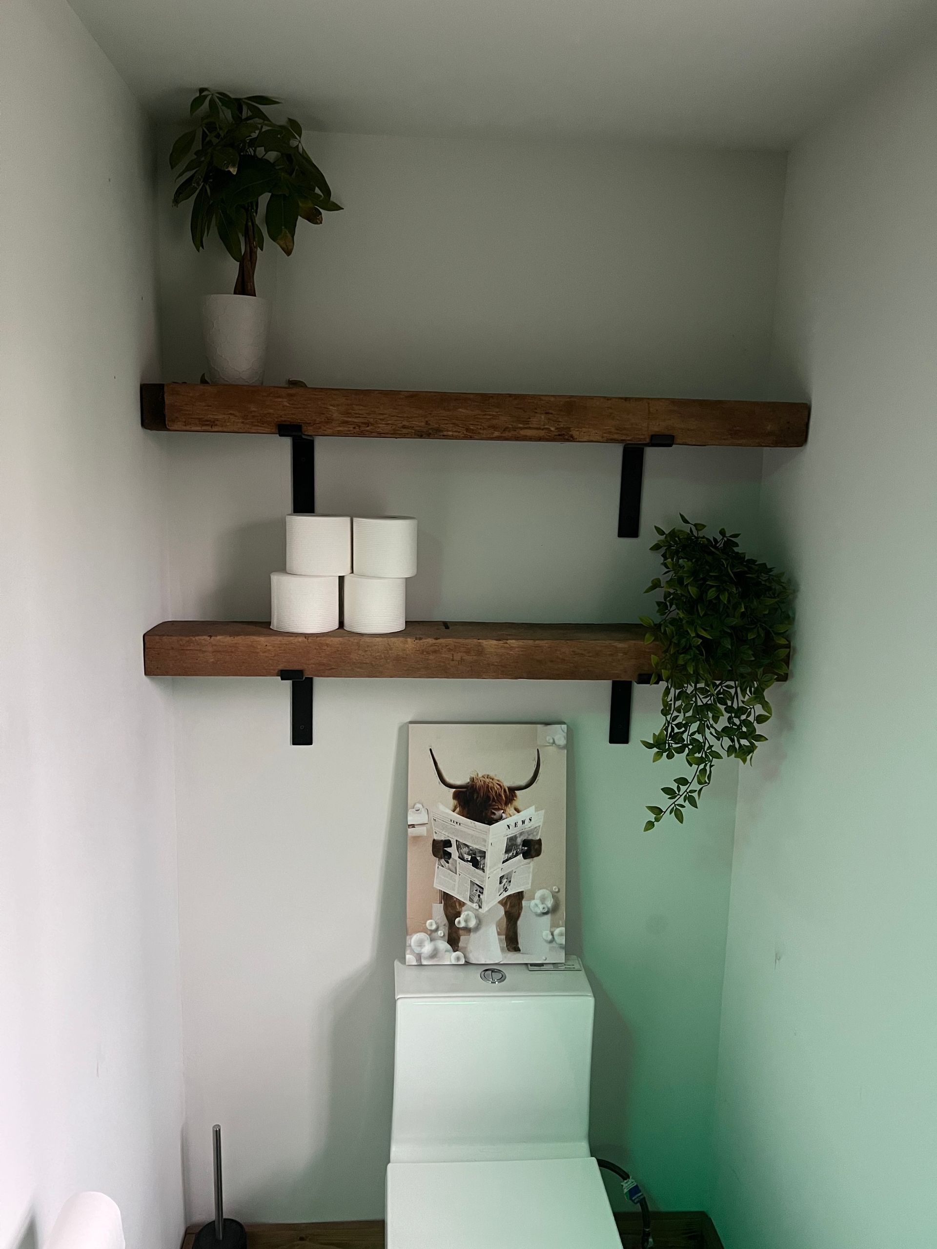 A bathroom with a toilet , shelves , and a picture of a cow on the wall.