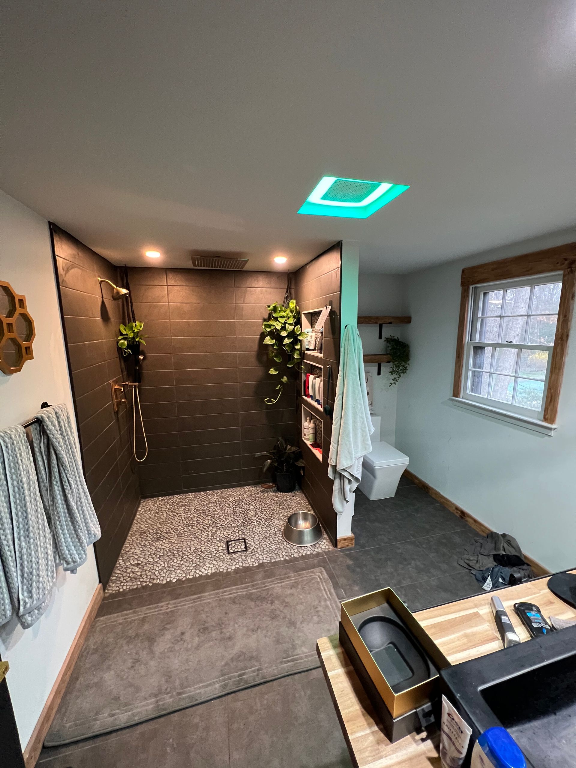 A bathroom with a walk in shower , sink , toilet and window.