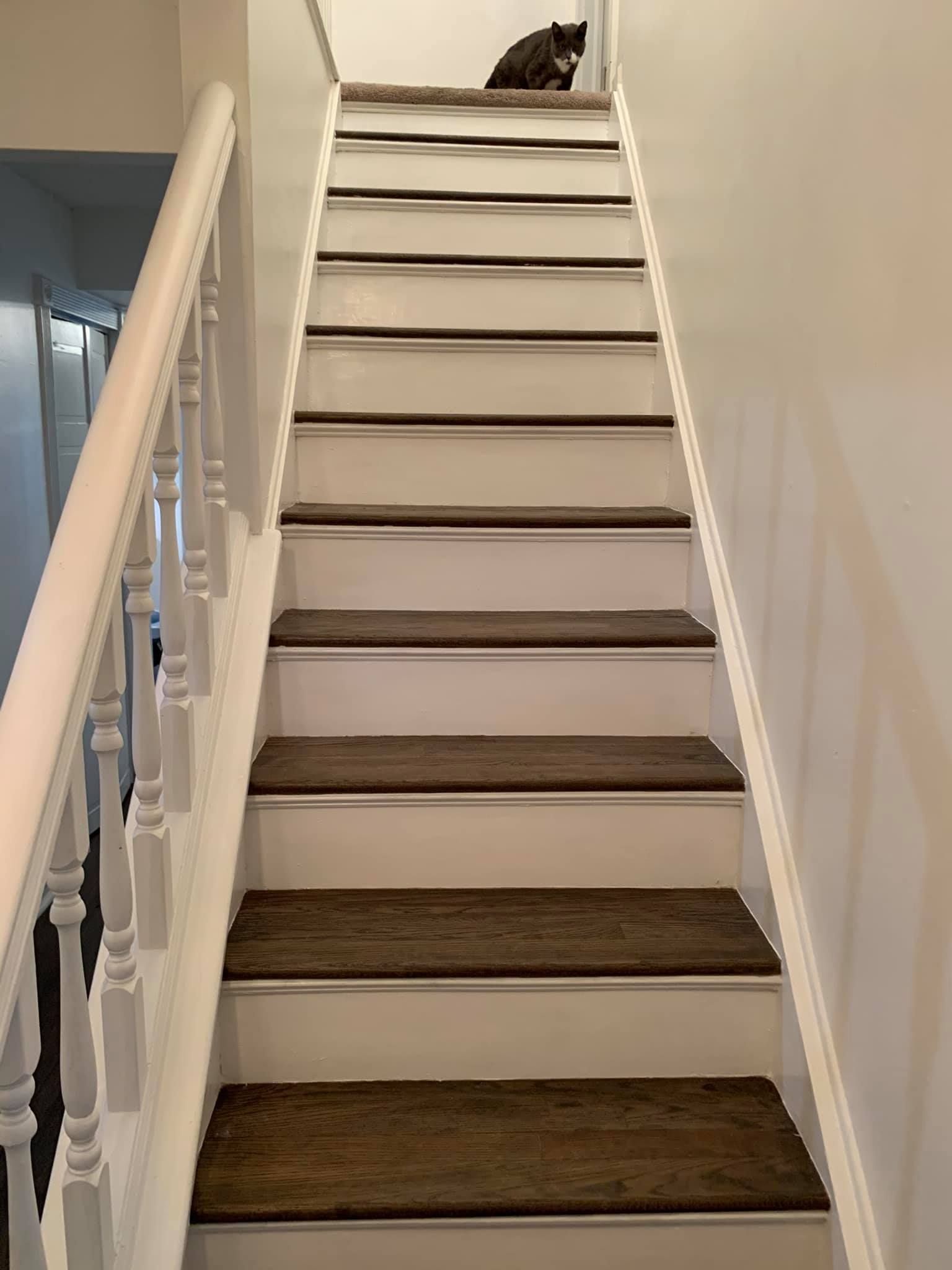 A cat is sitting on top of a set of stairs.