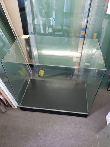 Glass aquarium with black base, partially filled, inside a shop.