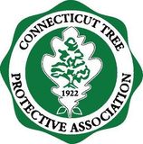 CTPA Logo