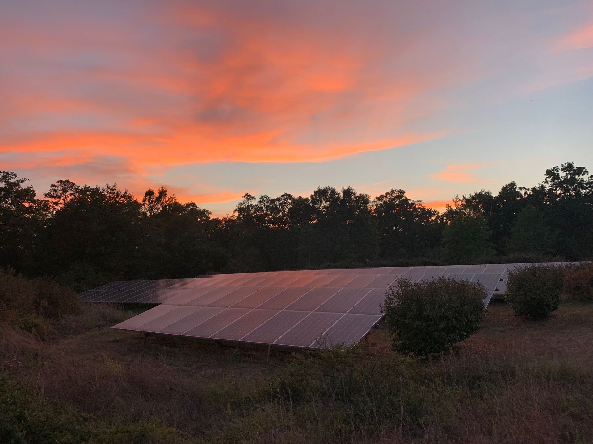 A field of solar panels with a sunset in the background