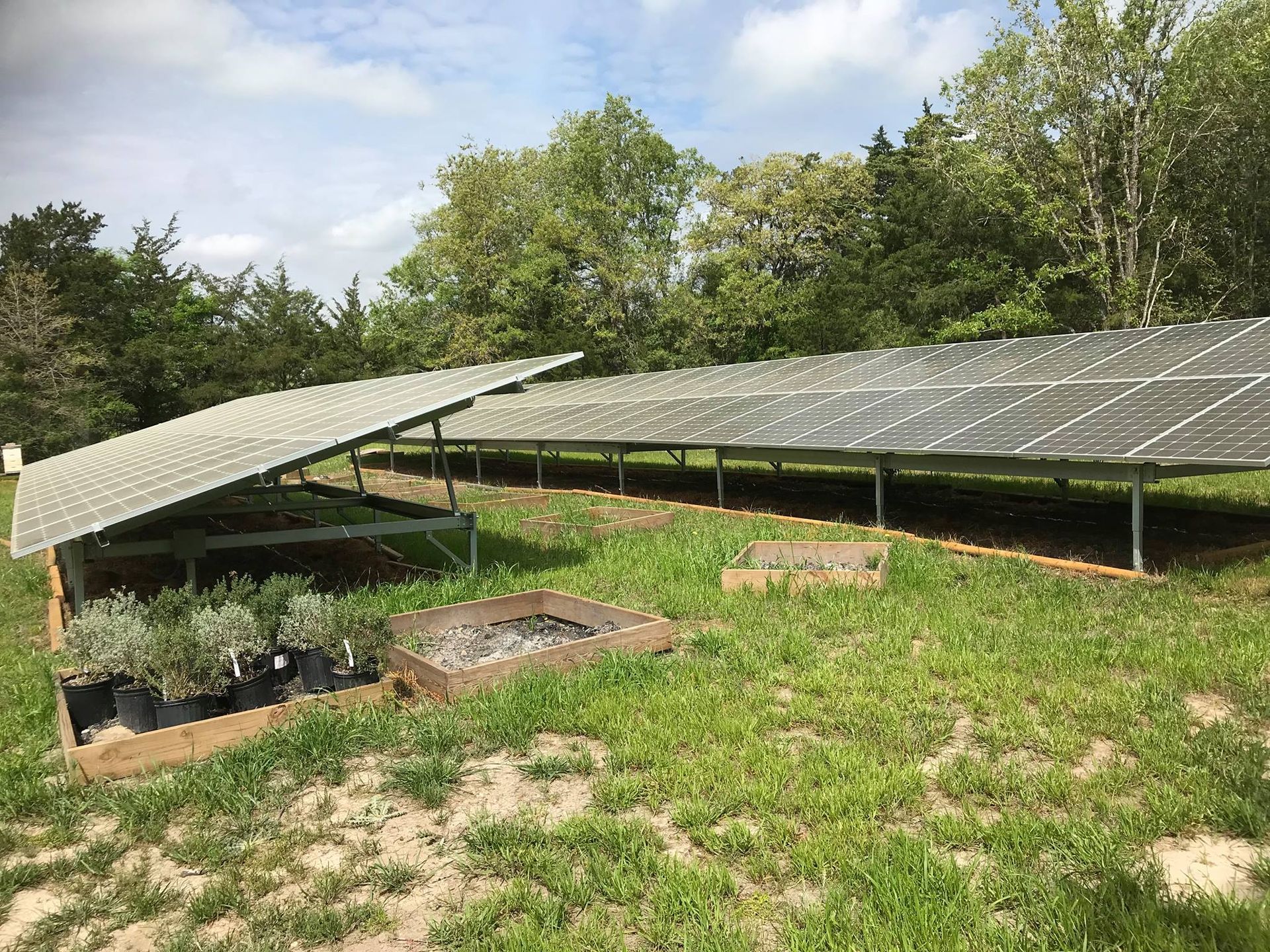A row of solar panels sitting on top of a lush green field.