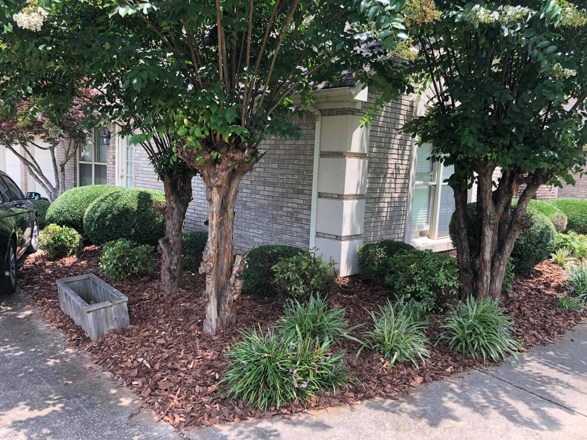 Residential Lawn Care