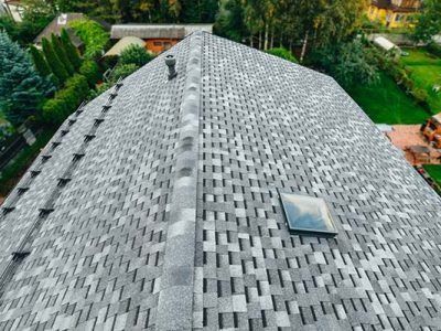 Gray shingle roof of a house, skylight, and vent. Green trees and grass in the background.