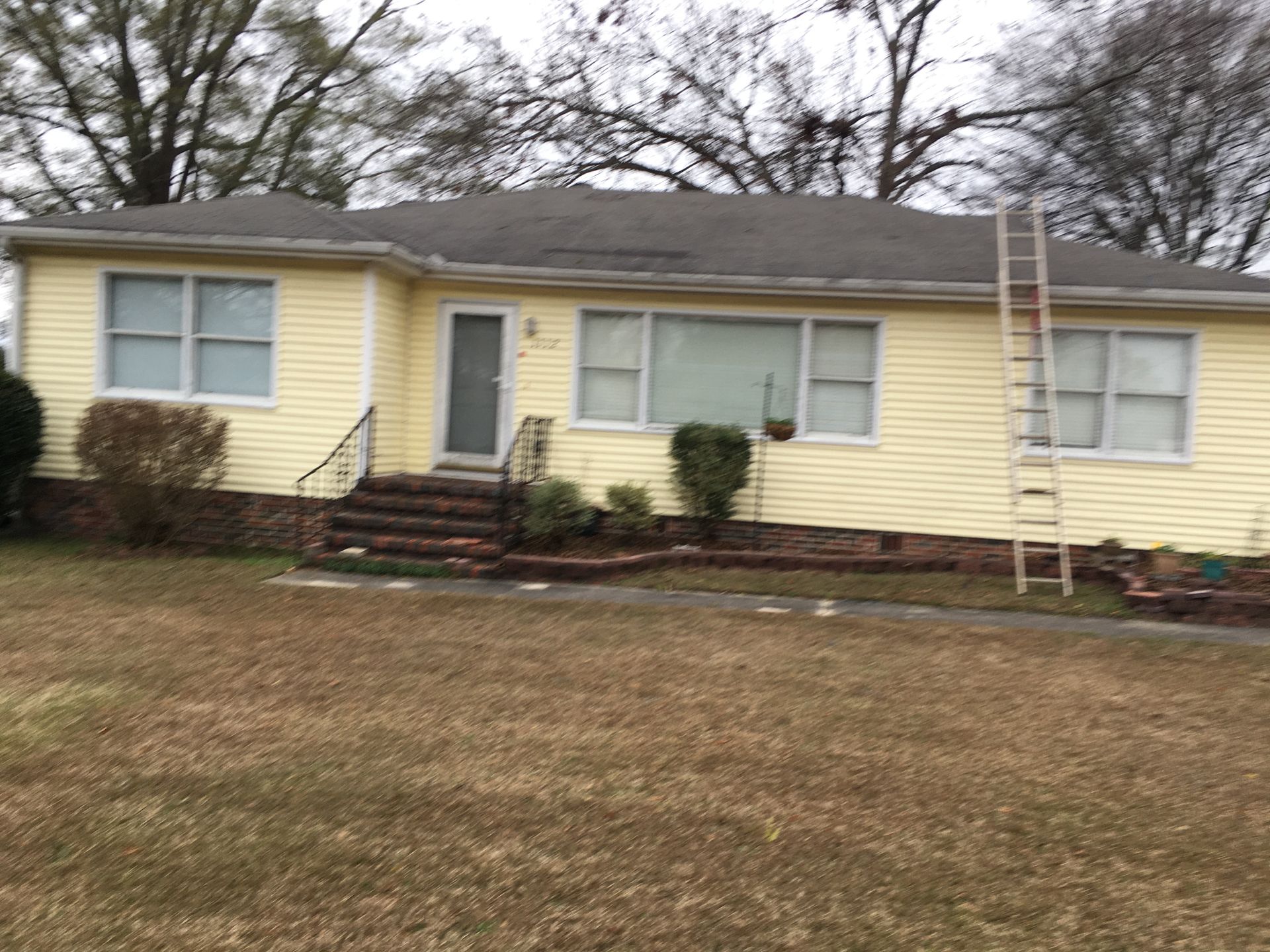 Yellow house with a ladder propped against it, brown lawn, and trees in the background.