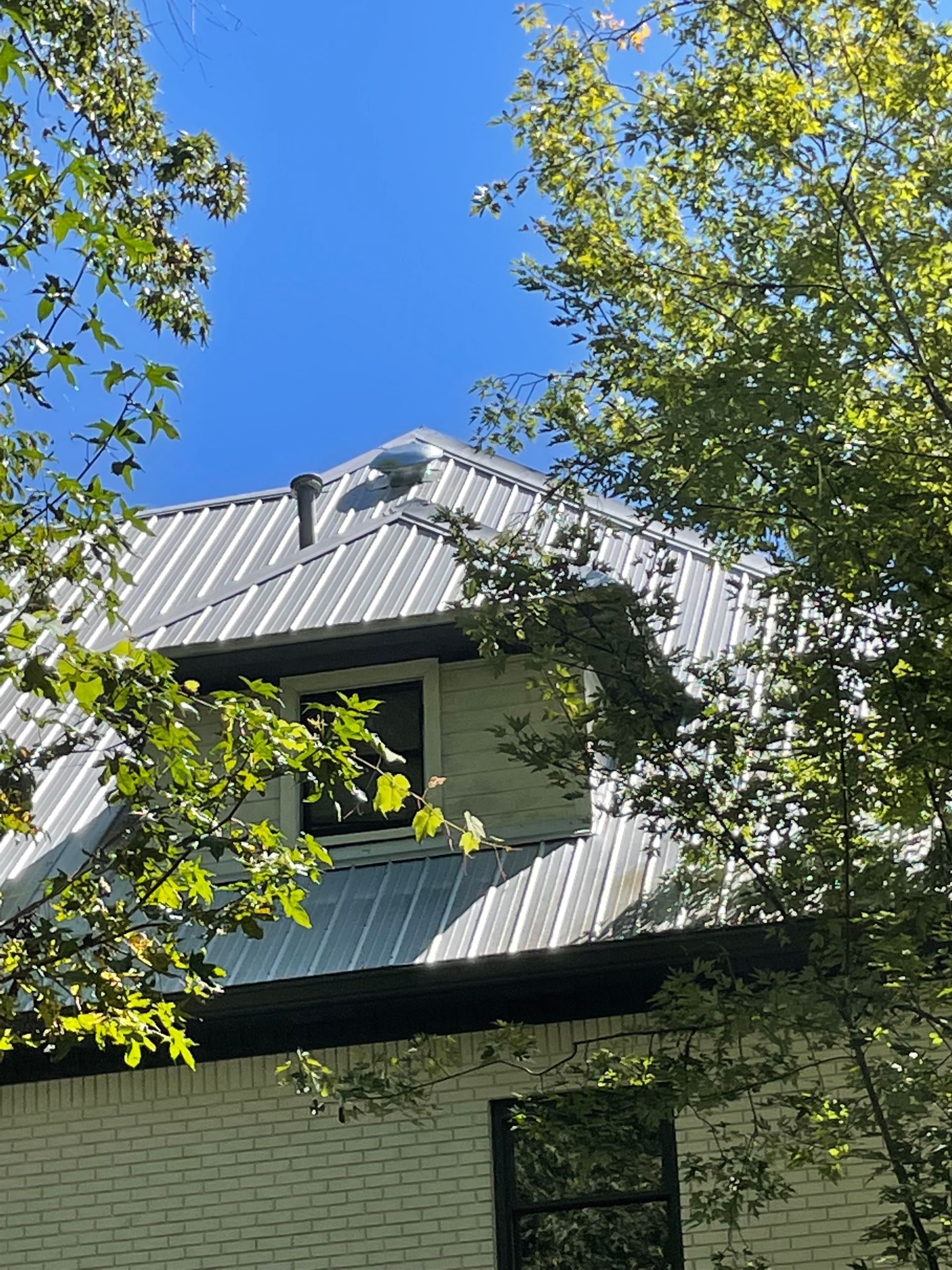Metal roof on a two-story building framed by green tree branches against a bright blue sky.