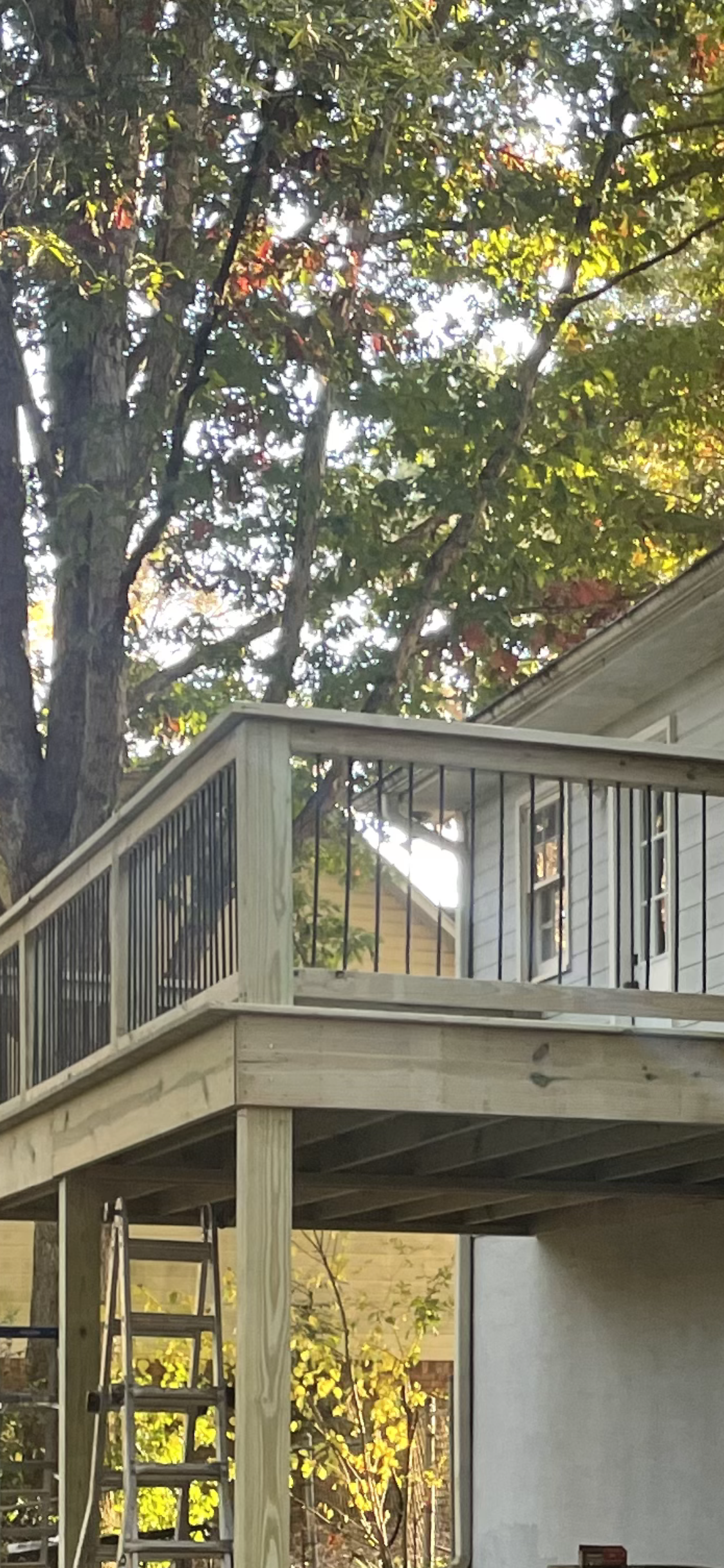 Wooden deck with railing, attached to a house with trees in the background. A ladder is propped against the deck.