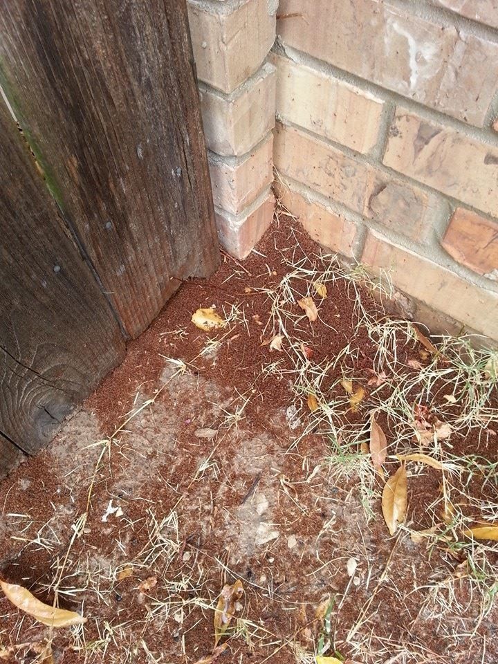 Reddish-brown dirt and debris gathered at the corner of a brick wall and wooden fence.