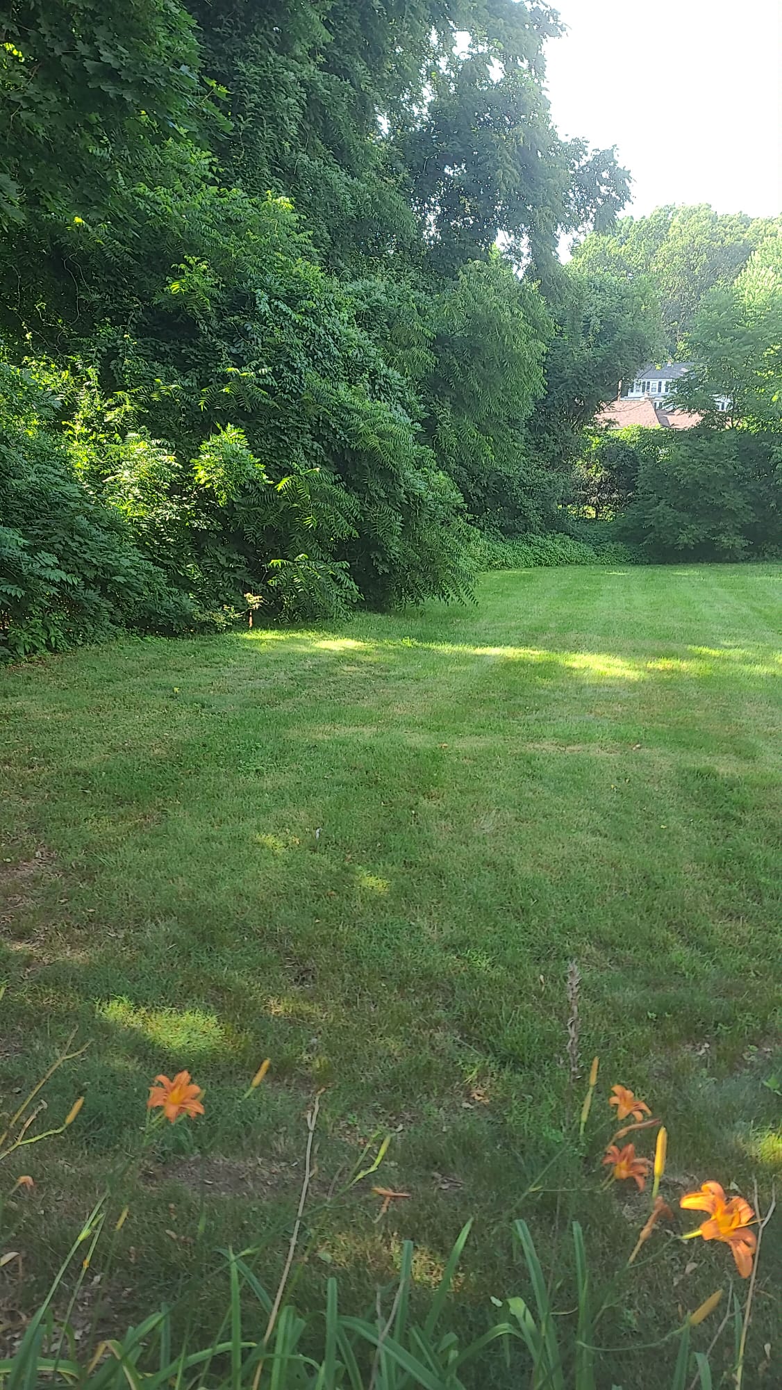 Landscaping Services