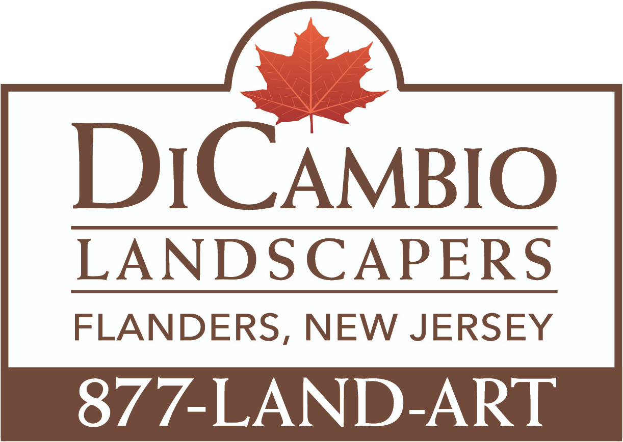 DiCambio Landscapers - Logo