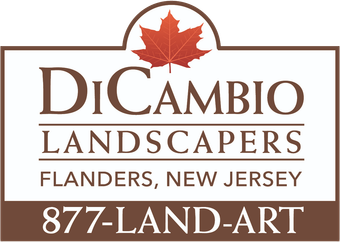 DiCambio Landscapers - Logo