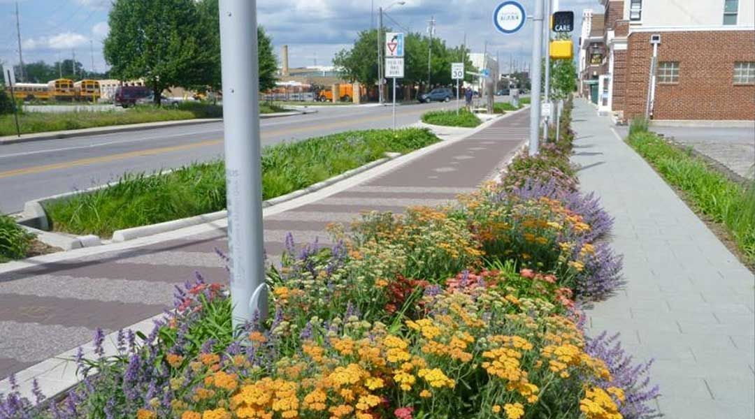Street with bike lane, sidewalk, and colorful flower beds. Buildings and trees in background.