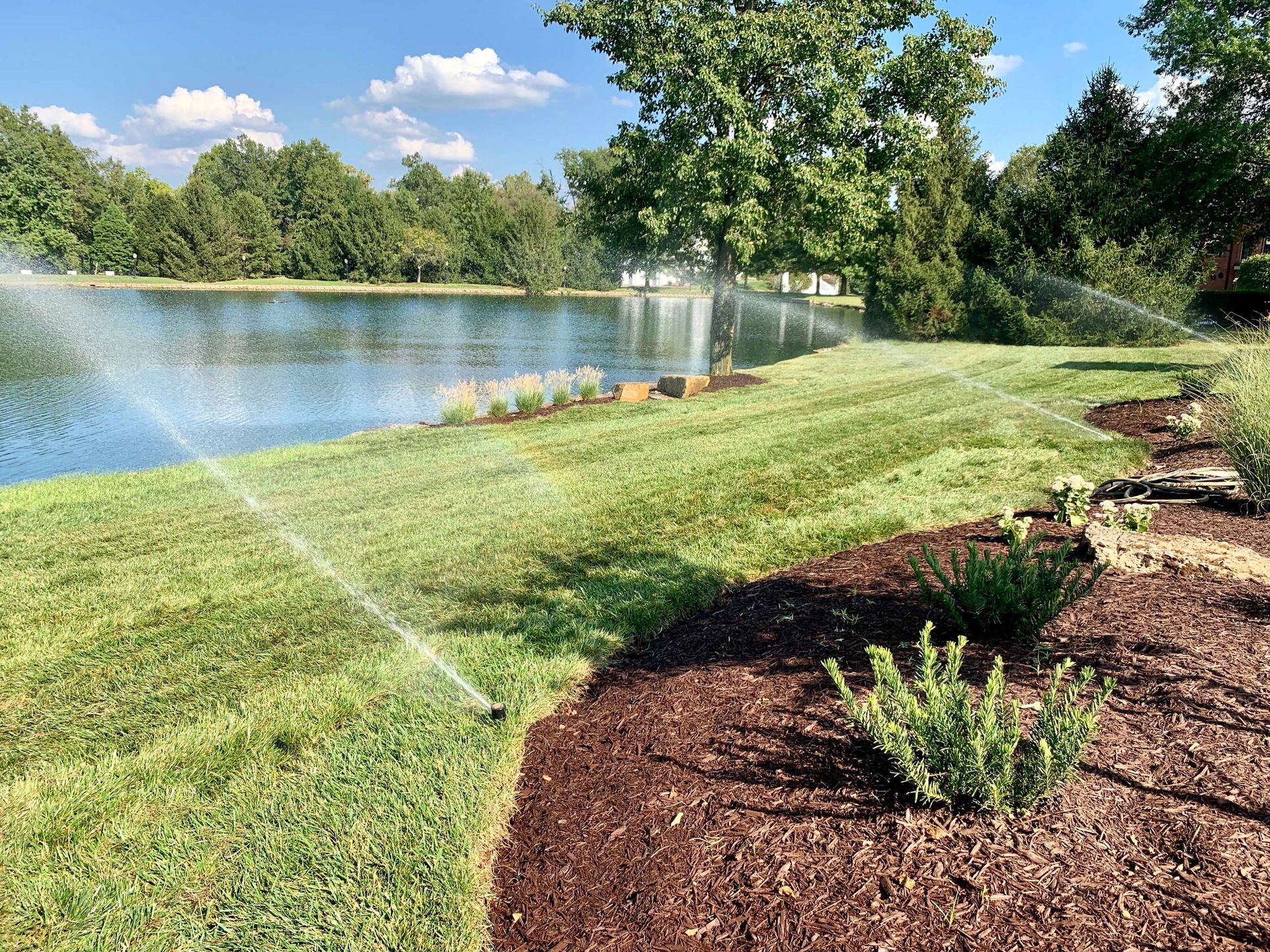 Sprinklers watering a green lawn next to a lake. Trees and bushes border the water and garden bed.