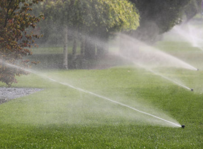Sprinklers watering green grass in a park with trees in the background.
