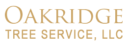 Oakridge Tree Service-Logo