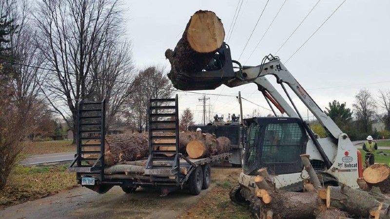 A bulldozer is carrying a large log on a trailer.