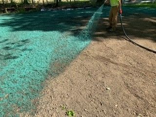 A man is spraying green fertilizer on the ground with a hose.