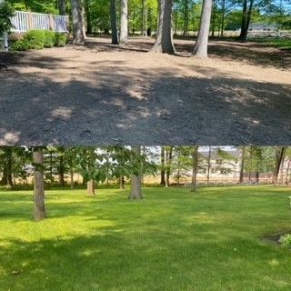 A before and after picture of a lush green lawn in a park.