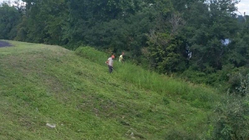 A man is cutting grass on a hillside with a lawn mower.