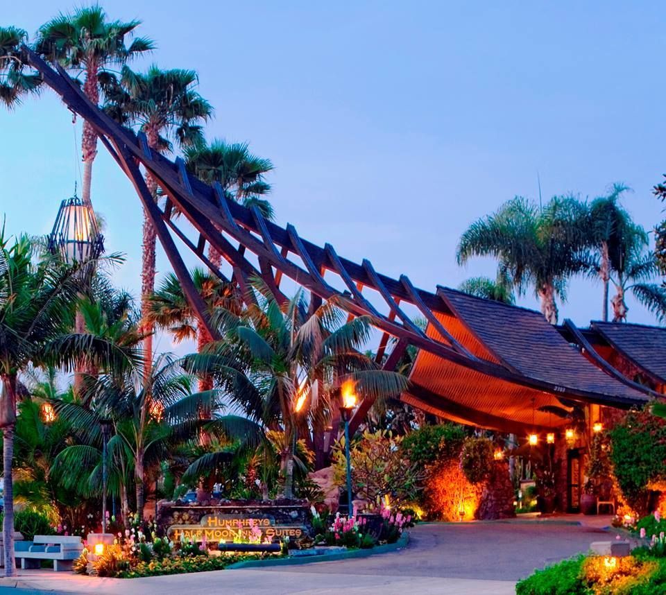 Tropical resort entrance with palm trees, warm lights, and a curved canopy at dusk