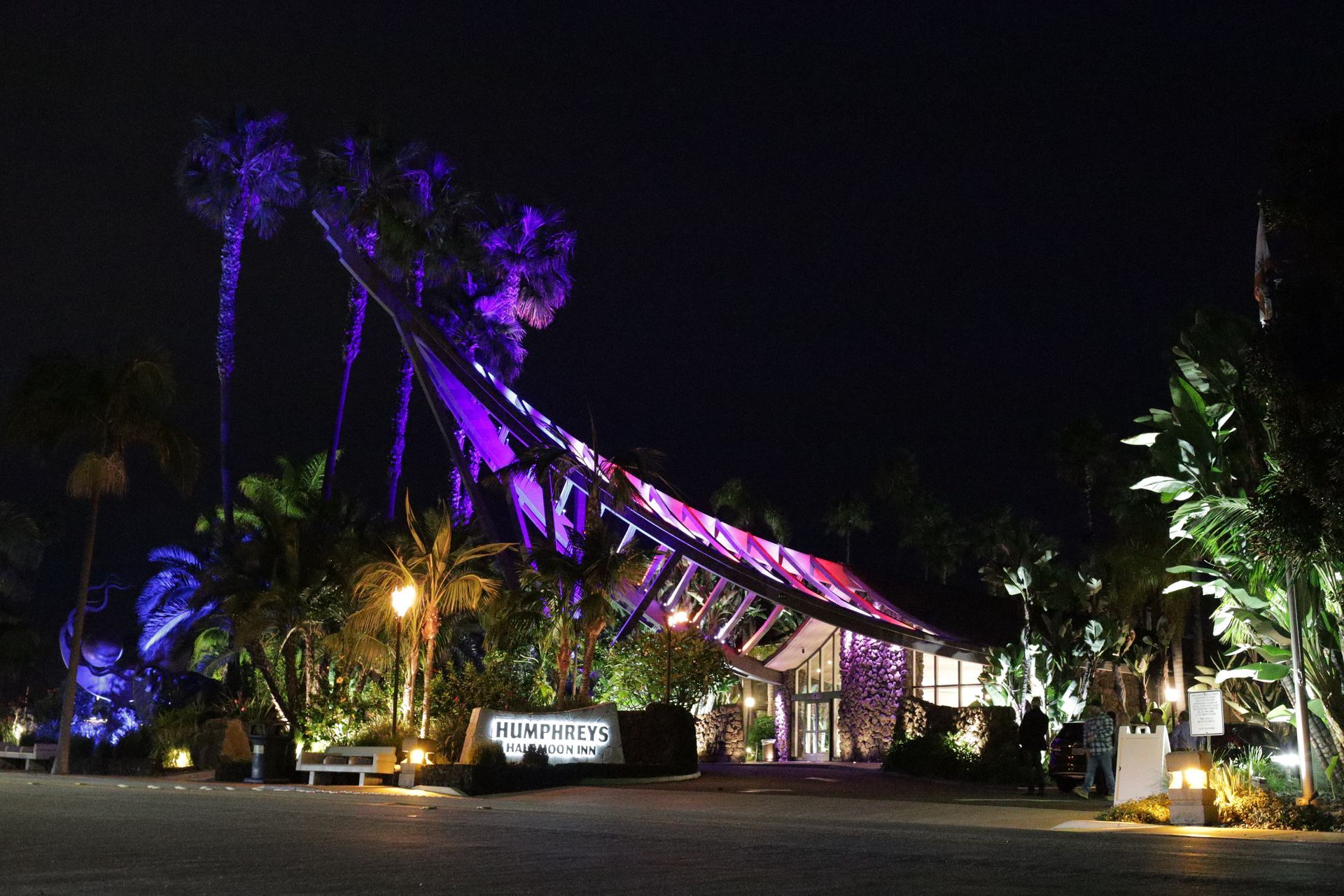 Nighttime lit water slide at a tropical park, glowing purple and pink among palm trees.