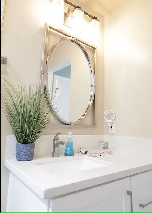 Bathroom vanity with oval mirror, brushed nickel faucet, blue soap, and potted plant.