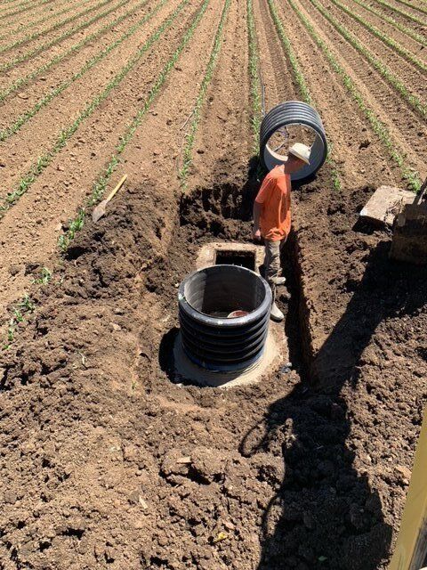 Septic system services