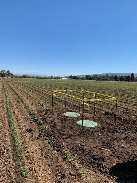 Septic system services