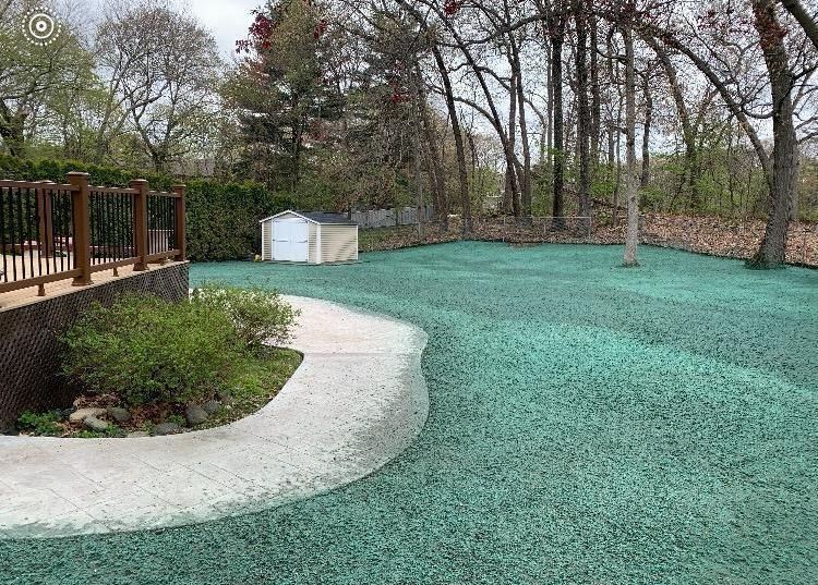 grading finished lawn with hydro seed