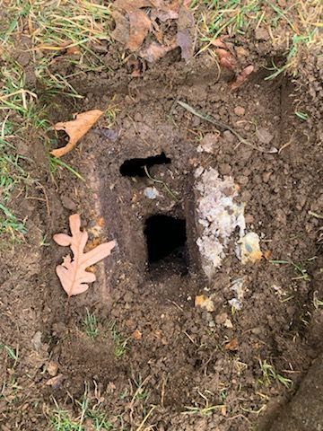 A hole in the ground with a leaf in it.