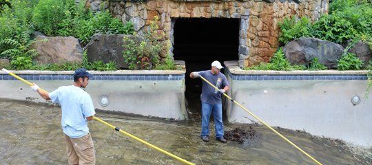 Pool Maintenance
