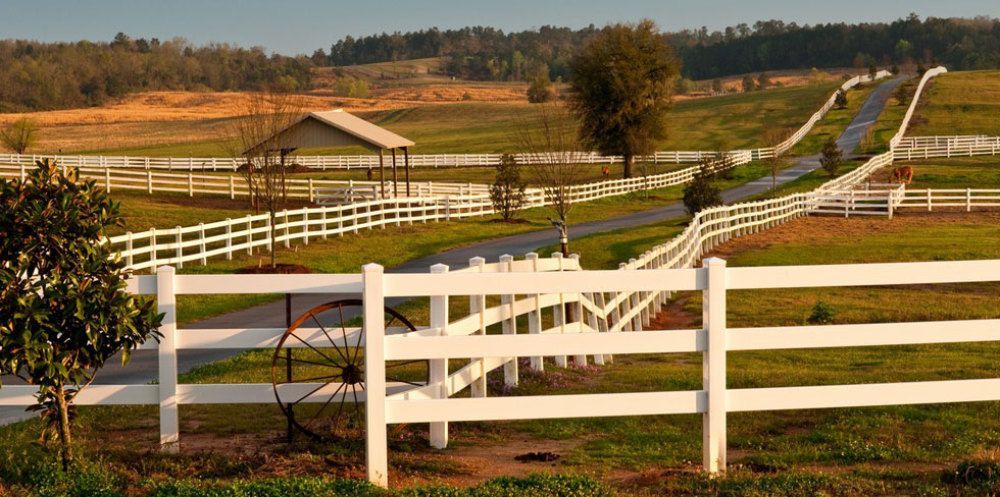 FENCES