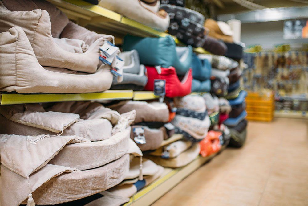 Dog Grooming Services