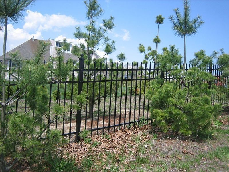 A black metal fence stretches across a green yard with pine trees and a house in the background under a blue sky.