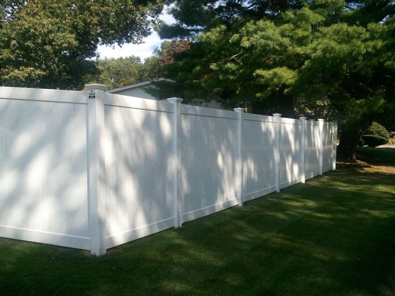 A tall white vinyl privacy fence stands in a grassy backyard next to a large green tree under a sunny sky.