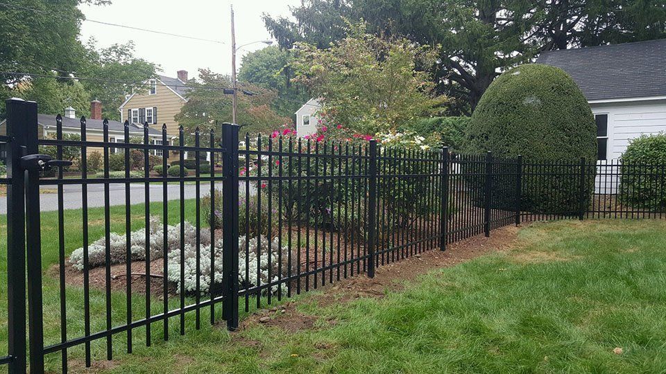 A black metal picket fence runs along a grassy yard with bushes and trees in front of a white house.