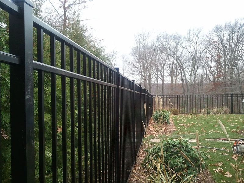 A black metal fence runs along the edge of a grassy yard with bare trees in the background under a cloudy sky.