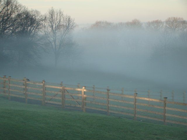 A wooden fence runs through a grassy field at dawn, partially obscured by thick fog and distant, misty trees.