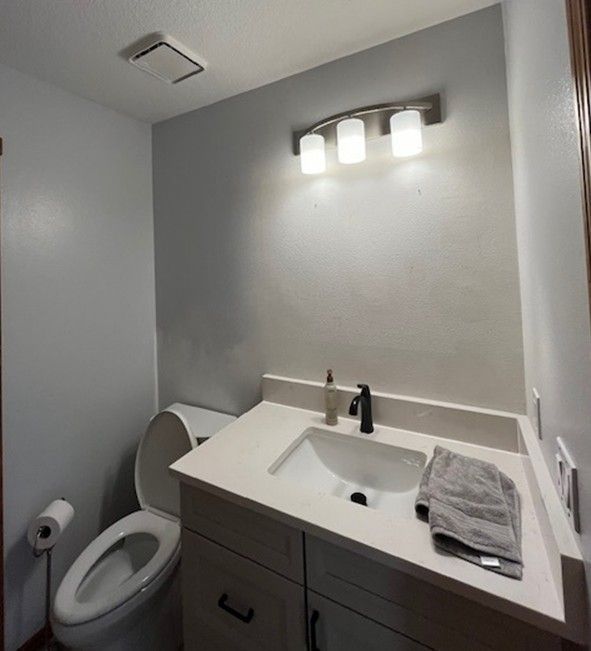 Bathroom with a toilet, sink, and light fixture. Gray walls and white counter.
