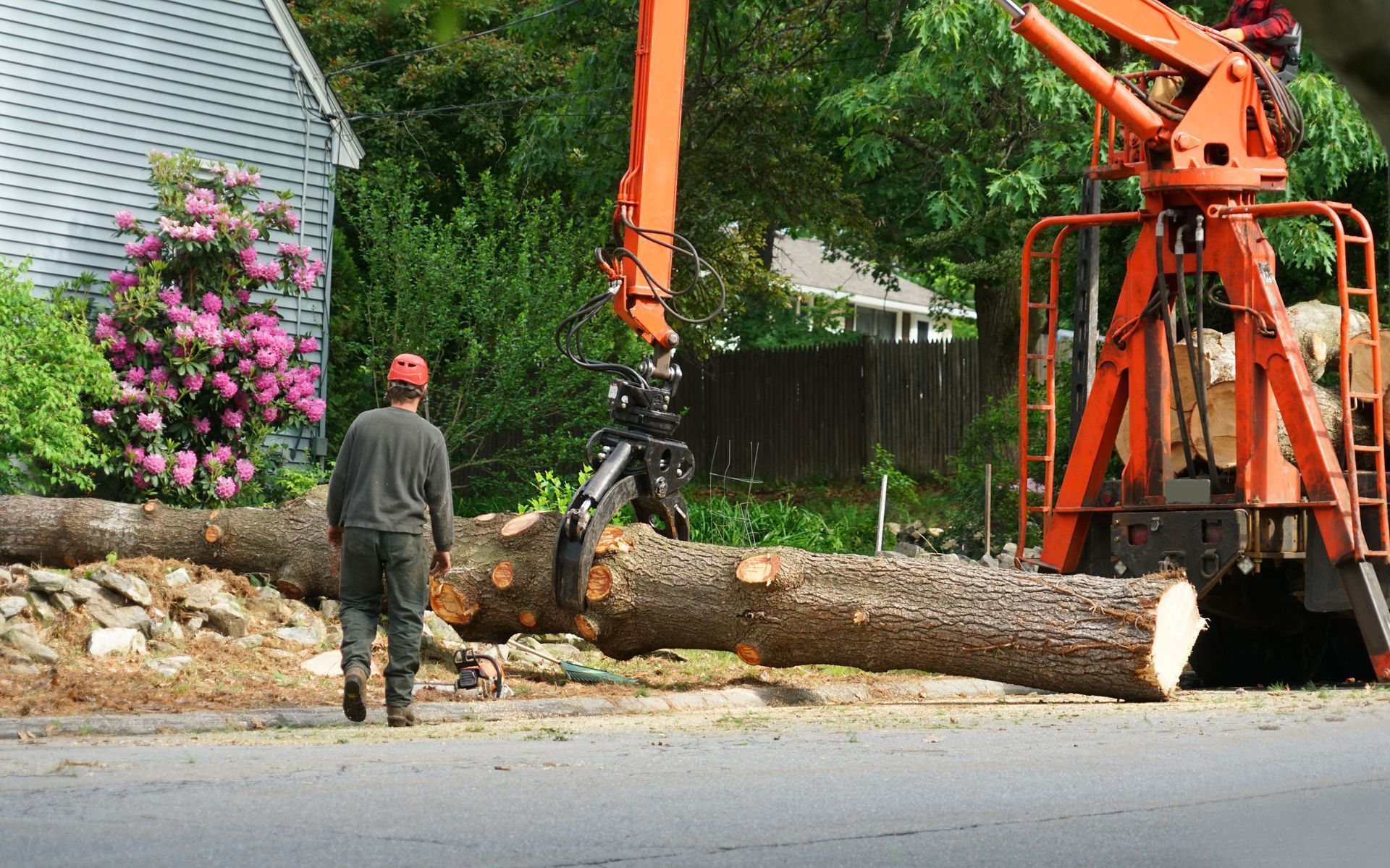 Man watching as a crane lifts a large tree trunk. Orange crane and logs on a street with houses and greenery.
