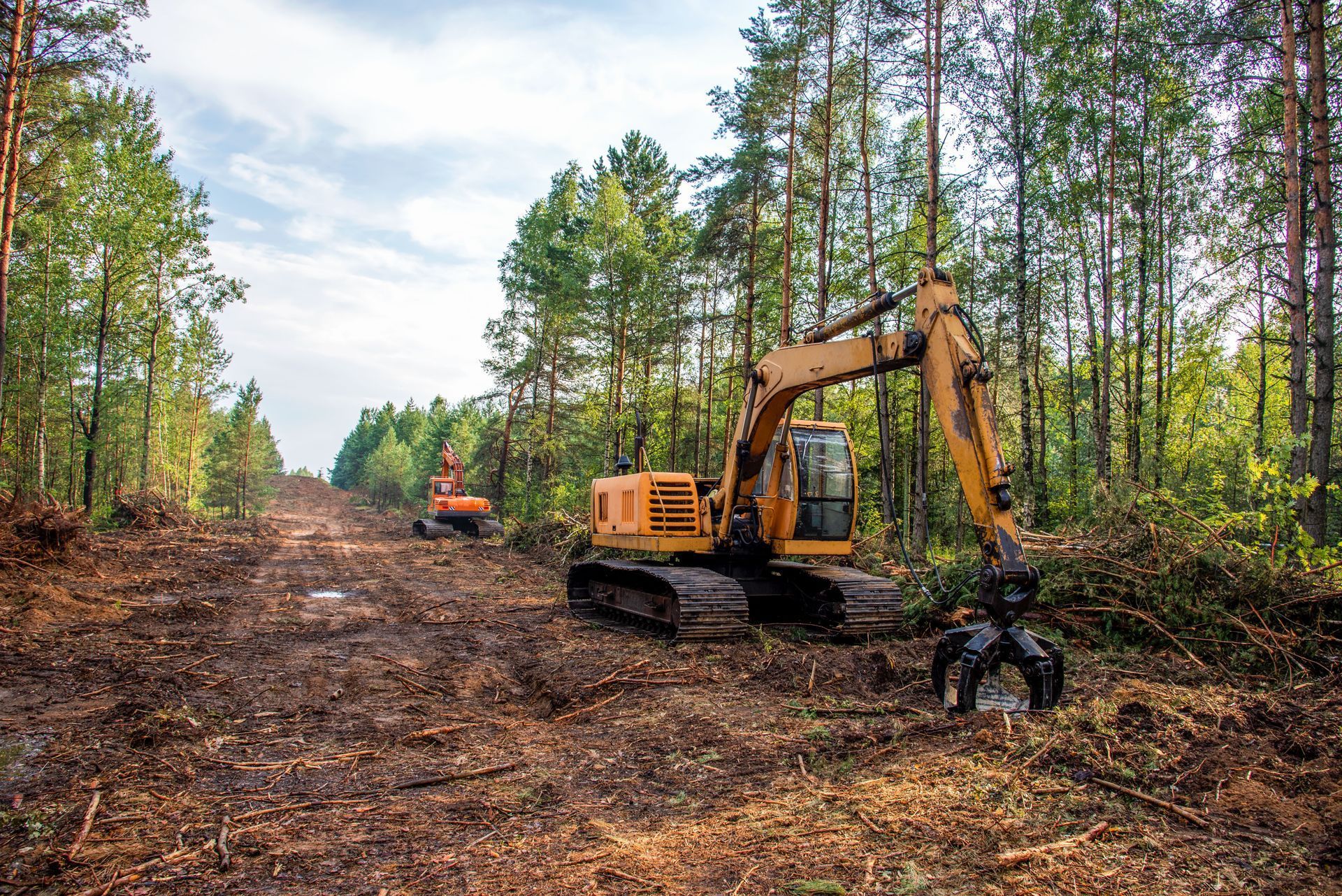 Two yellow excavators clear a forest, trees felled and debris strewn, under a blue sky.