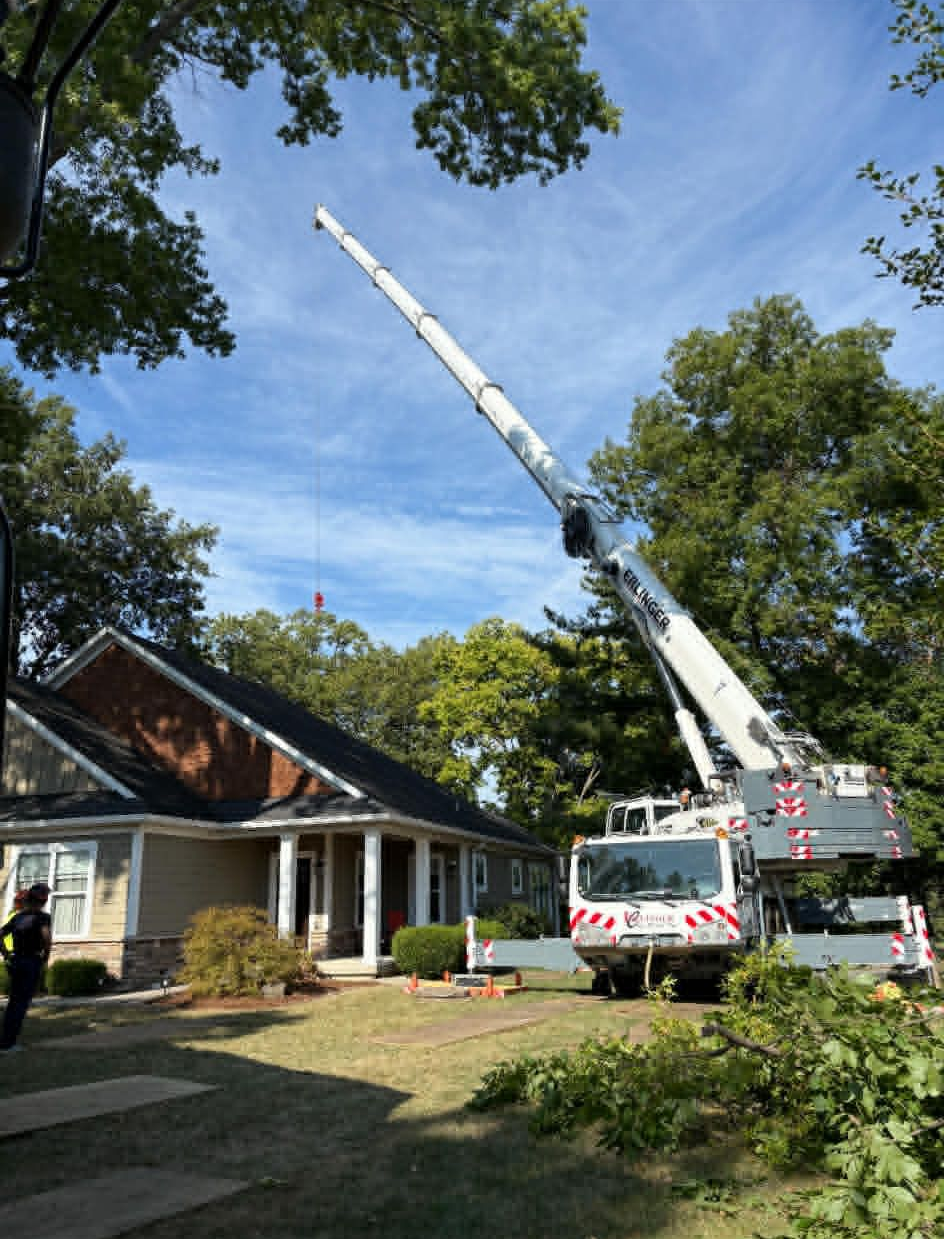 A large crane in front of a house, reaching high into the trees on a sunny day.
