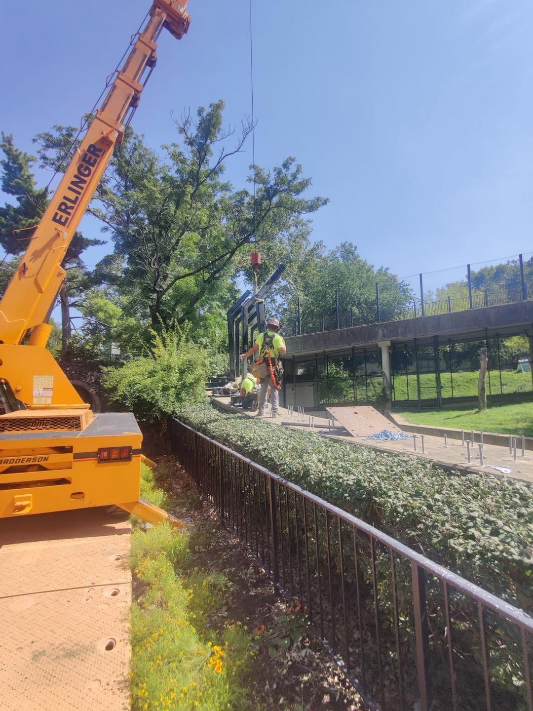 Crane lifting tree branches beside a path, with two workers and a railing under a clear sky.