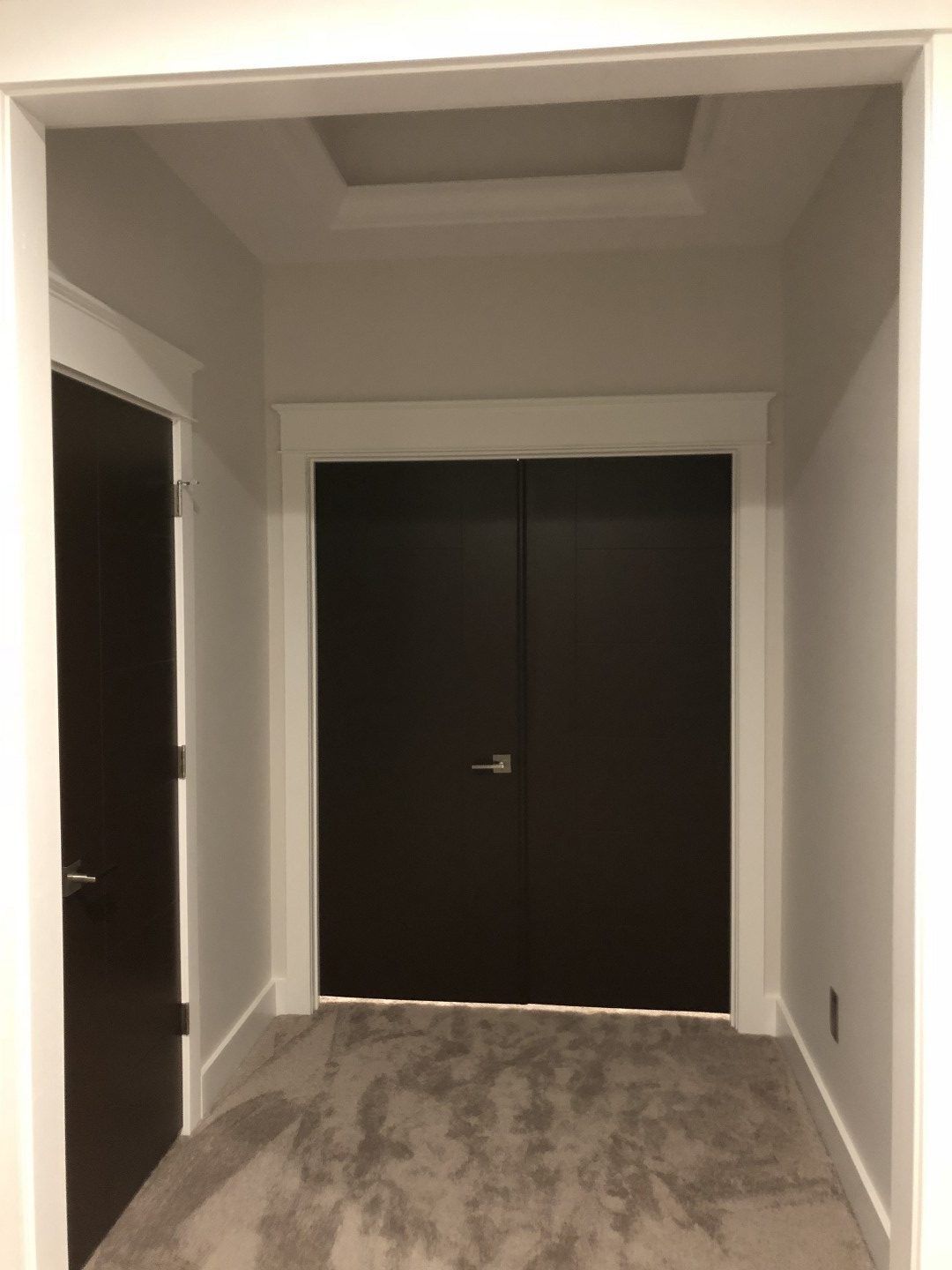 A hallway with two black doors and a carpeted floor.