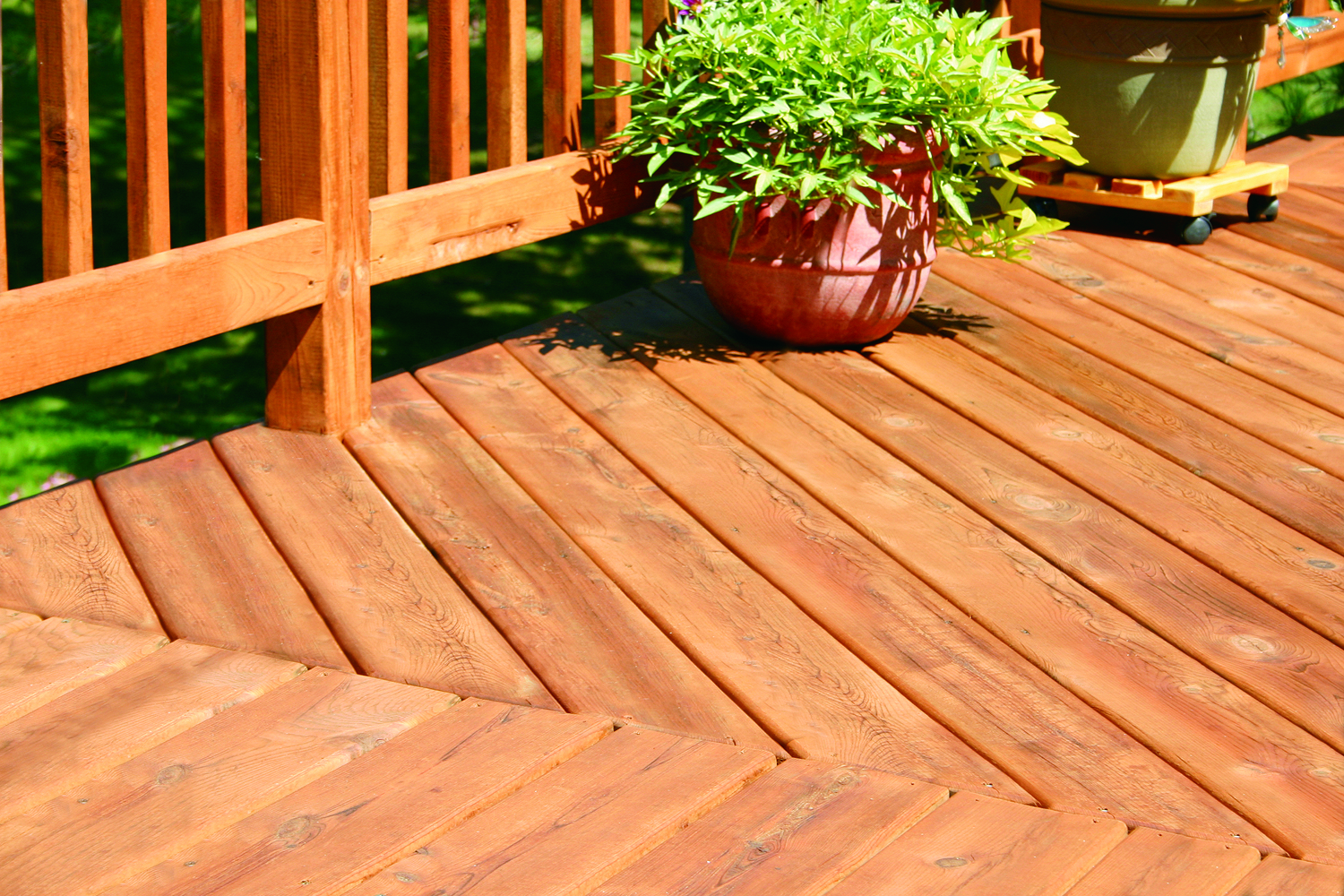 Deck cleaning and restoration services