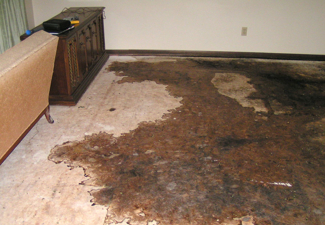Water damage cleaning and restoration services
