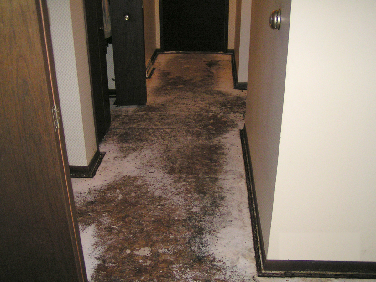 Water damage cleaning and restoration services