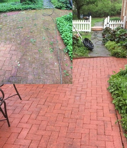 Walkway cleaning and restoration services